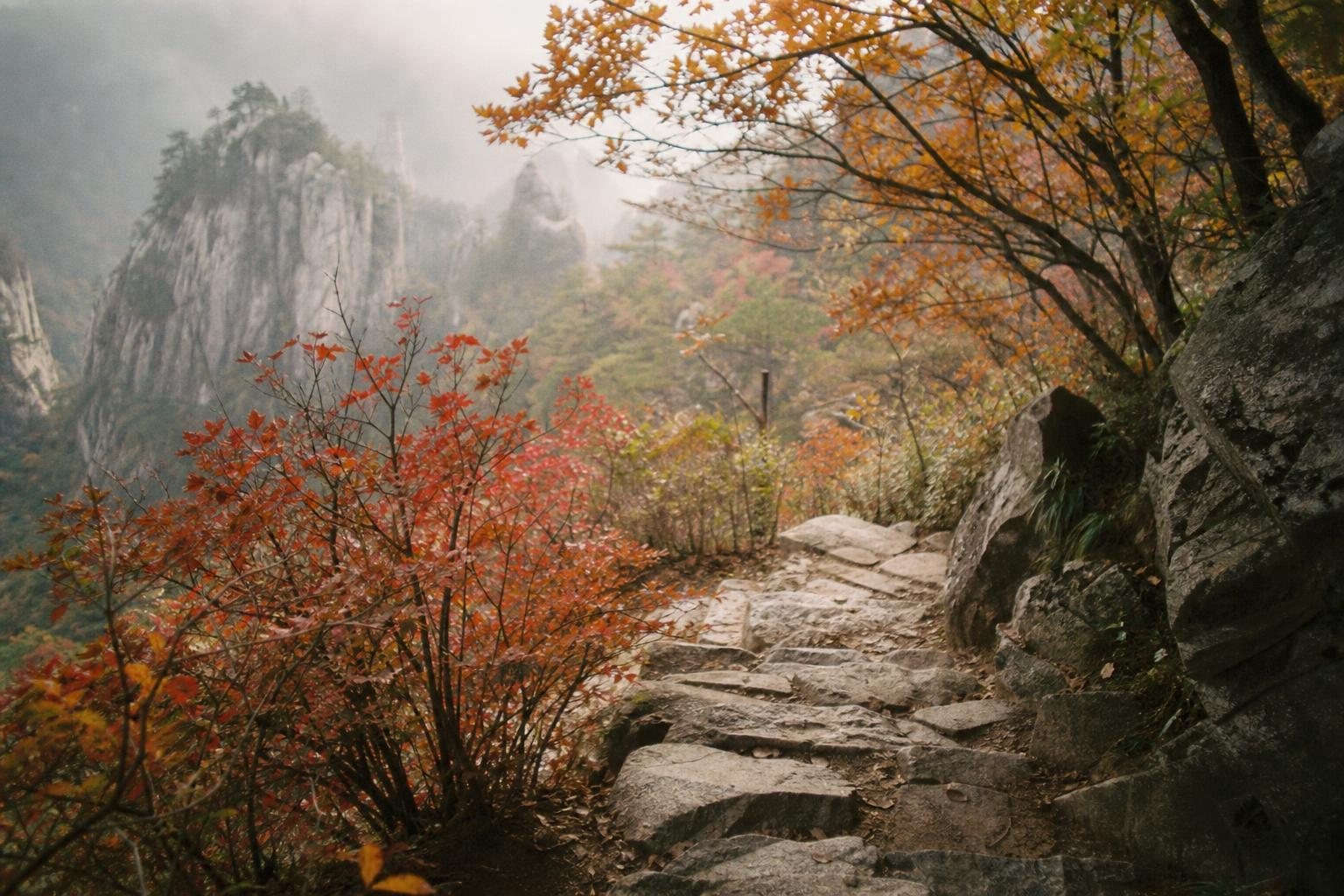 Bewaldeter Bergwanderweg in Korea mit Steinstufen und Herbstfarben im Nebel (mit AI erstelltes Bild)